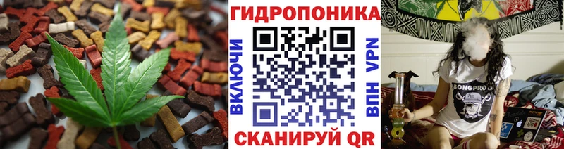Canna-Cookies конопля продажа наркотиков Узловая