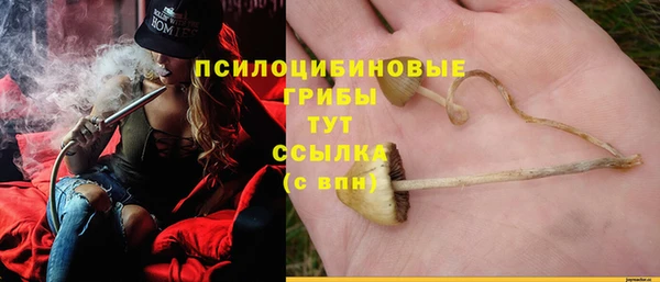 дживик Армянск