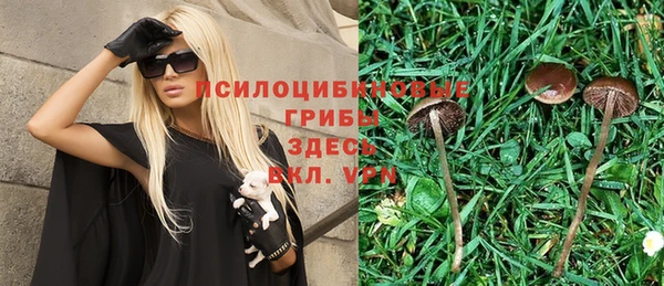 spice Аркадак