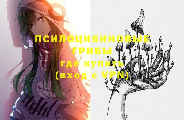 spice Аркадак