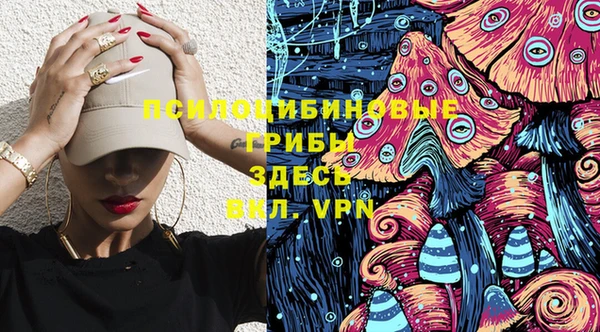 дживик Армянск