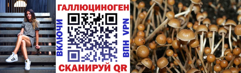 Псилоцибиновые грибы MAGIC MUSHROOMS  Узловая 